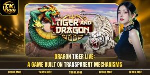 Dragon Tiger Live: A Game Built On Transparent Mechanisms