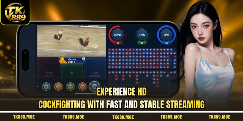 Experience HD cockfighting with fast and stable streaming