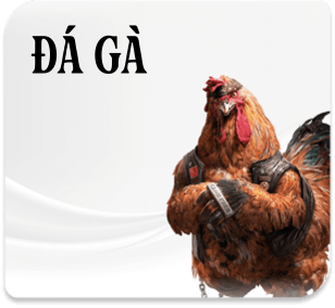 icon đá gà